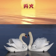 铂金K1（我叫一一）