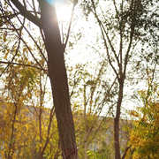 哦豁丶糟糕的头像