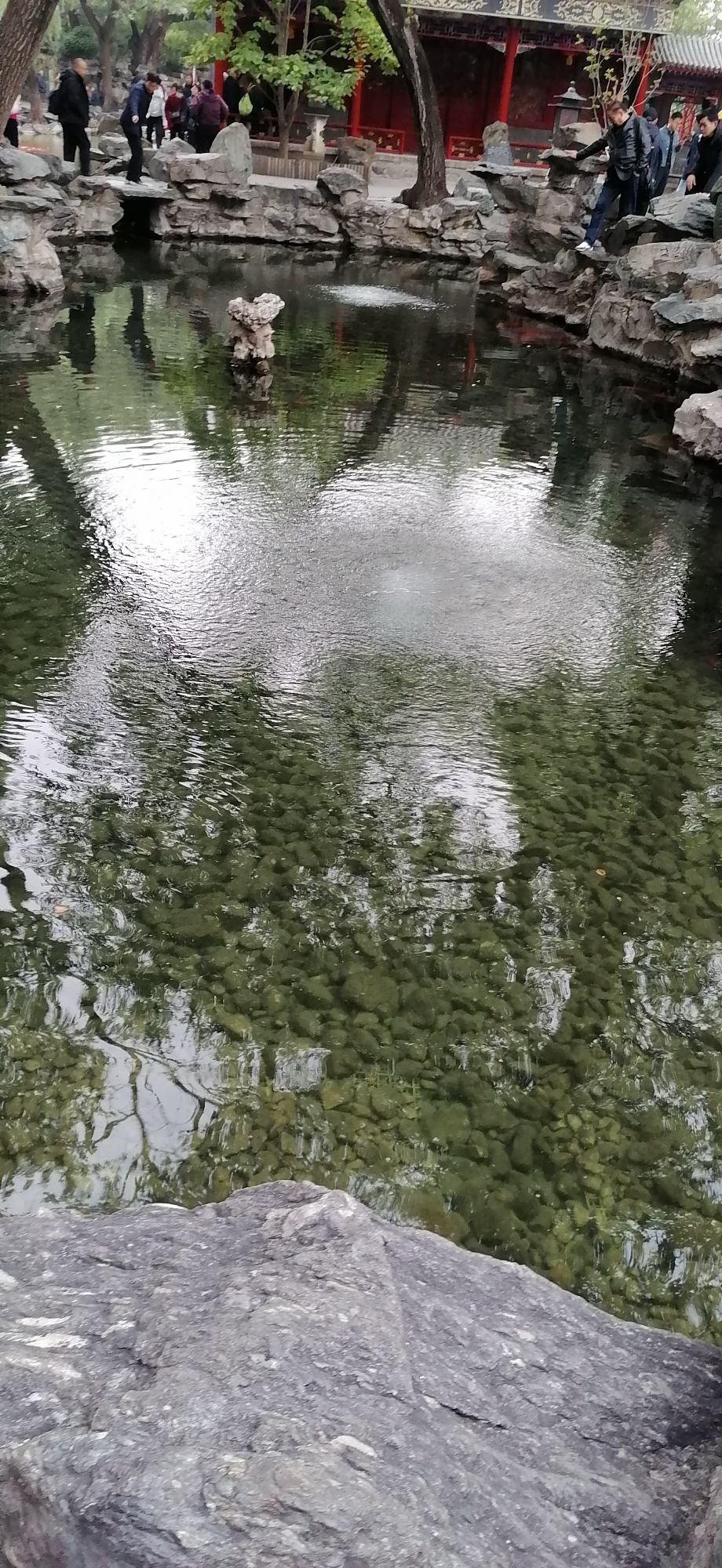 淮枭羽弥陀主播图片