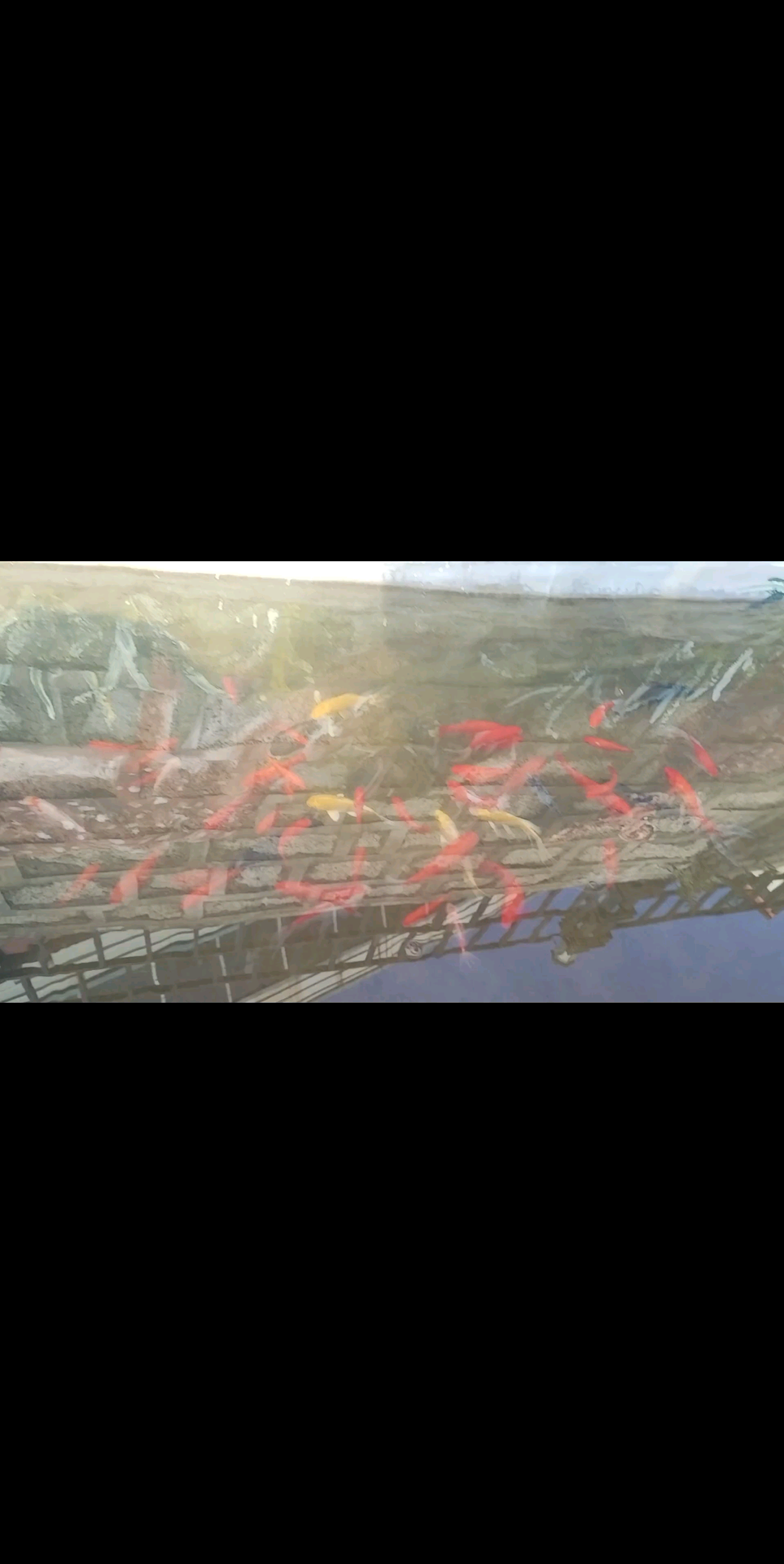 碰花碰草别碰情，动手