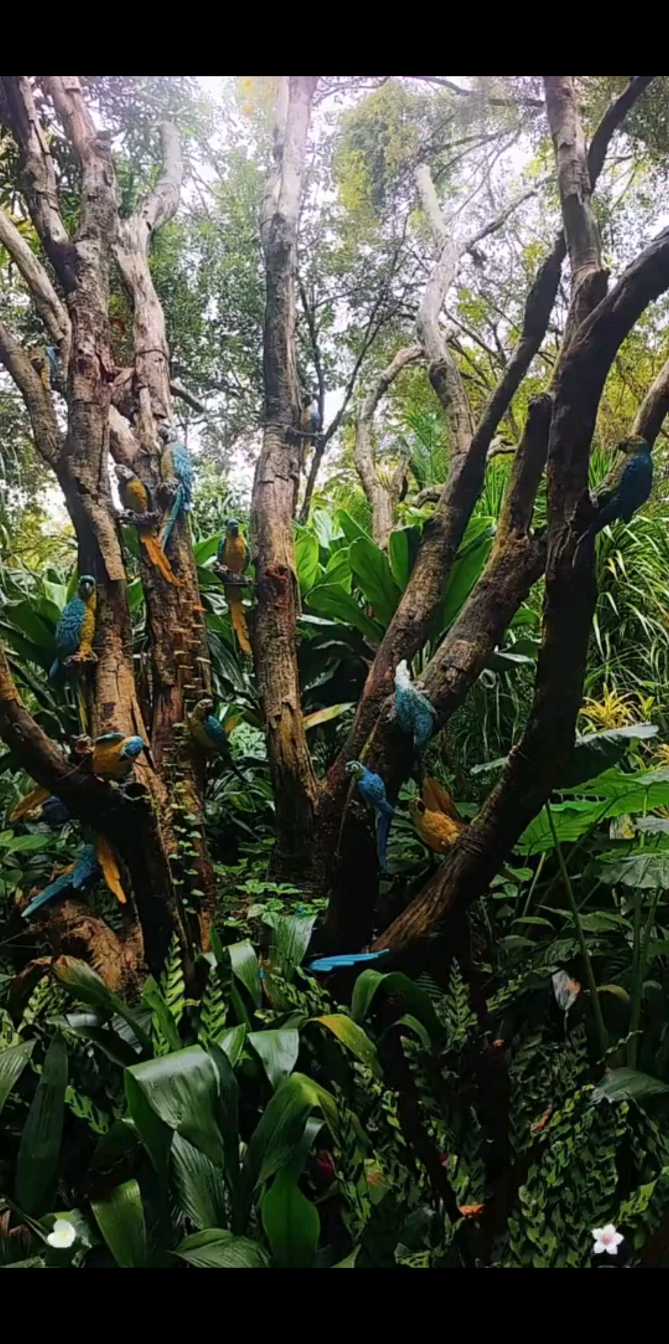 安于自己~胜过千军万