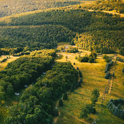山海妖市白鬼👻夜行的头像