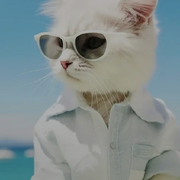 金。元宝。海报