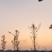 🐳.花梦离的头像