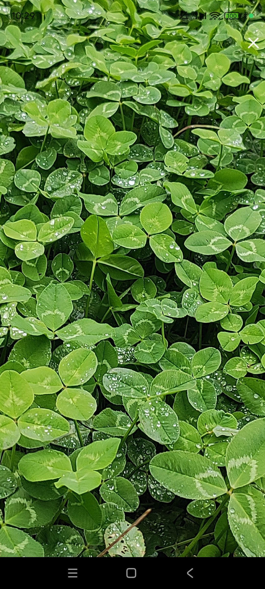 婷婷💕感恩有你陪伴主播图片