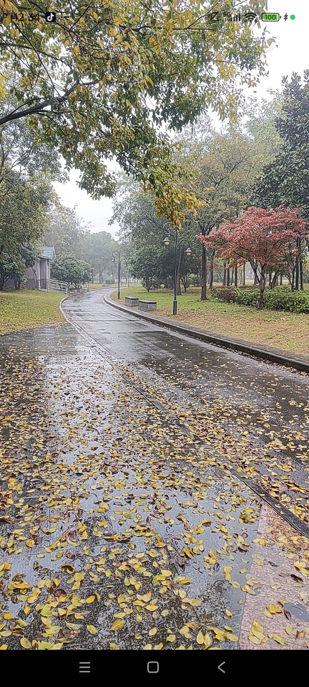 婷婷💕感恩有你陪伴主播图片