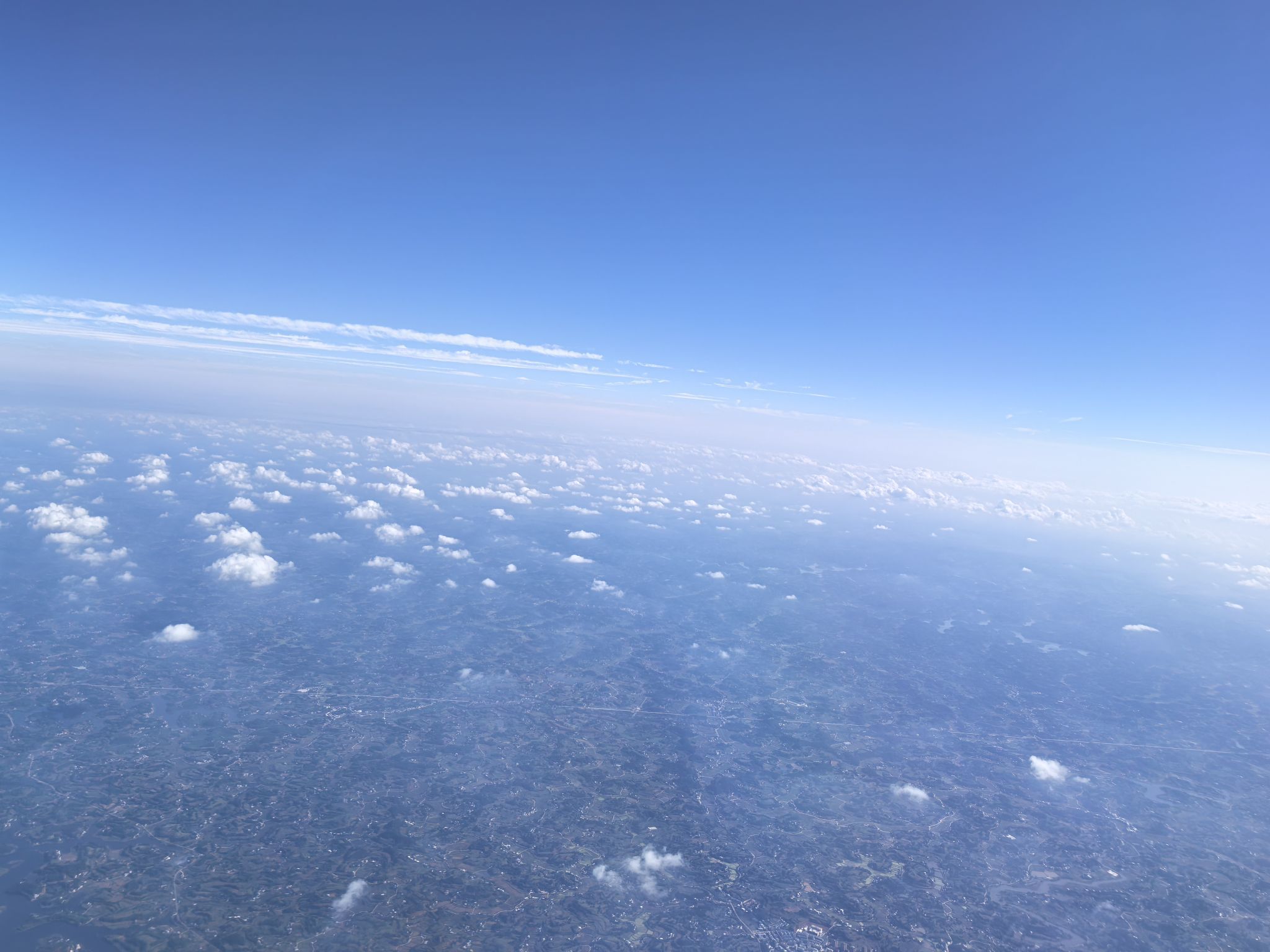 可乐为什么要加冰？主播图片