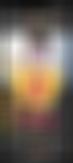 海鸽晚上播主播图片