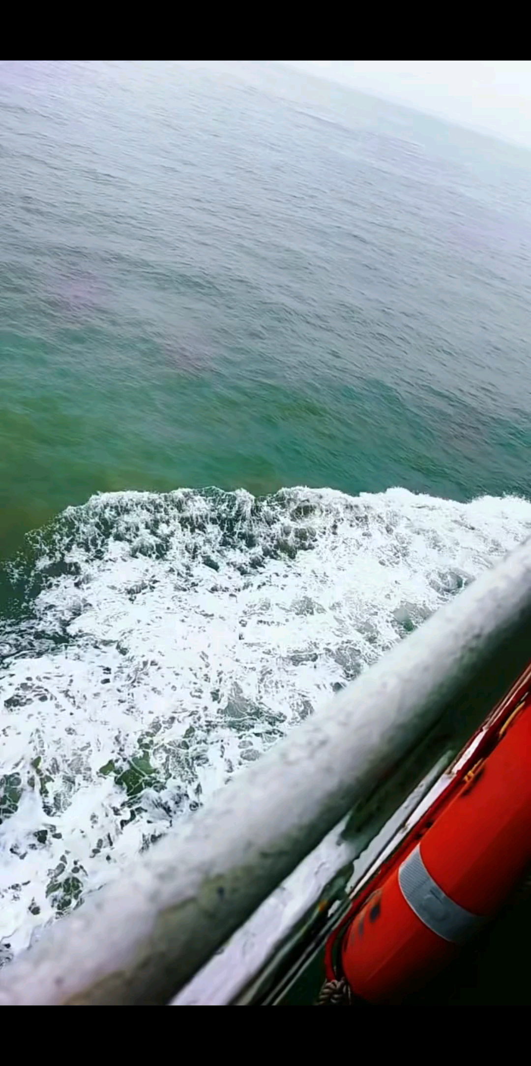 今天坐轮渡拍的，从徐