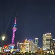 来自班加罗尔的喜鹊