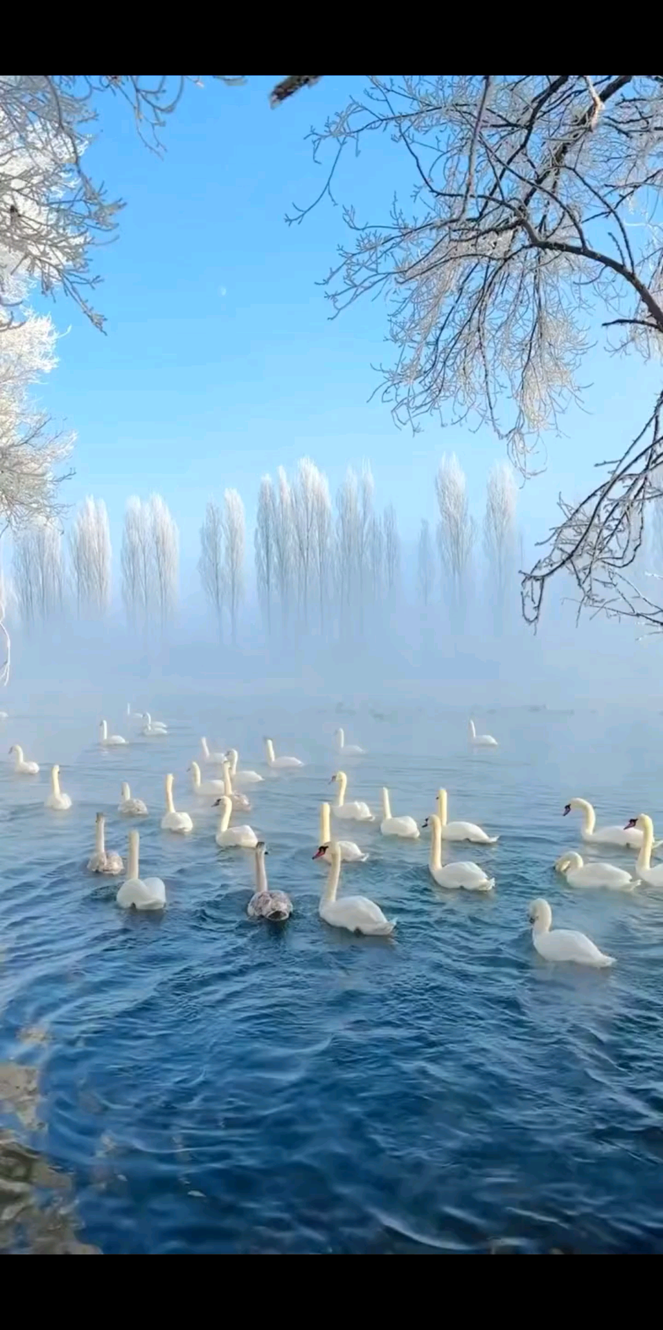 与其被定义，不如自定