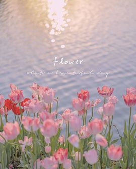 小仙女❤️在等你投喂的图片