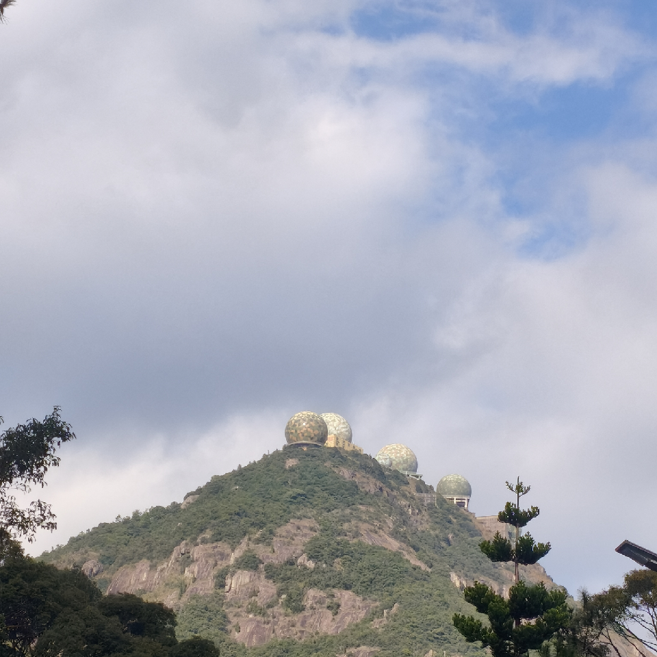 人间♛蝼蚁海报