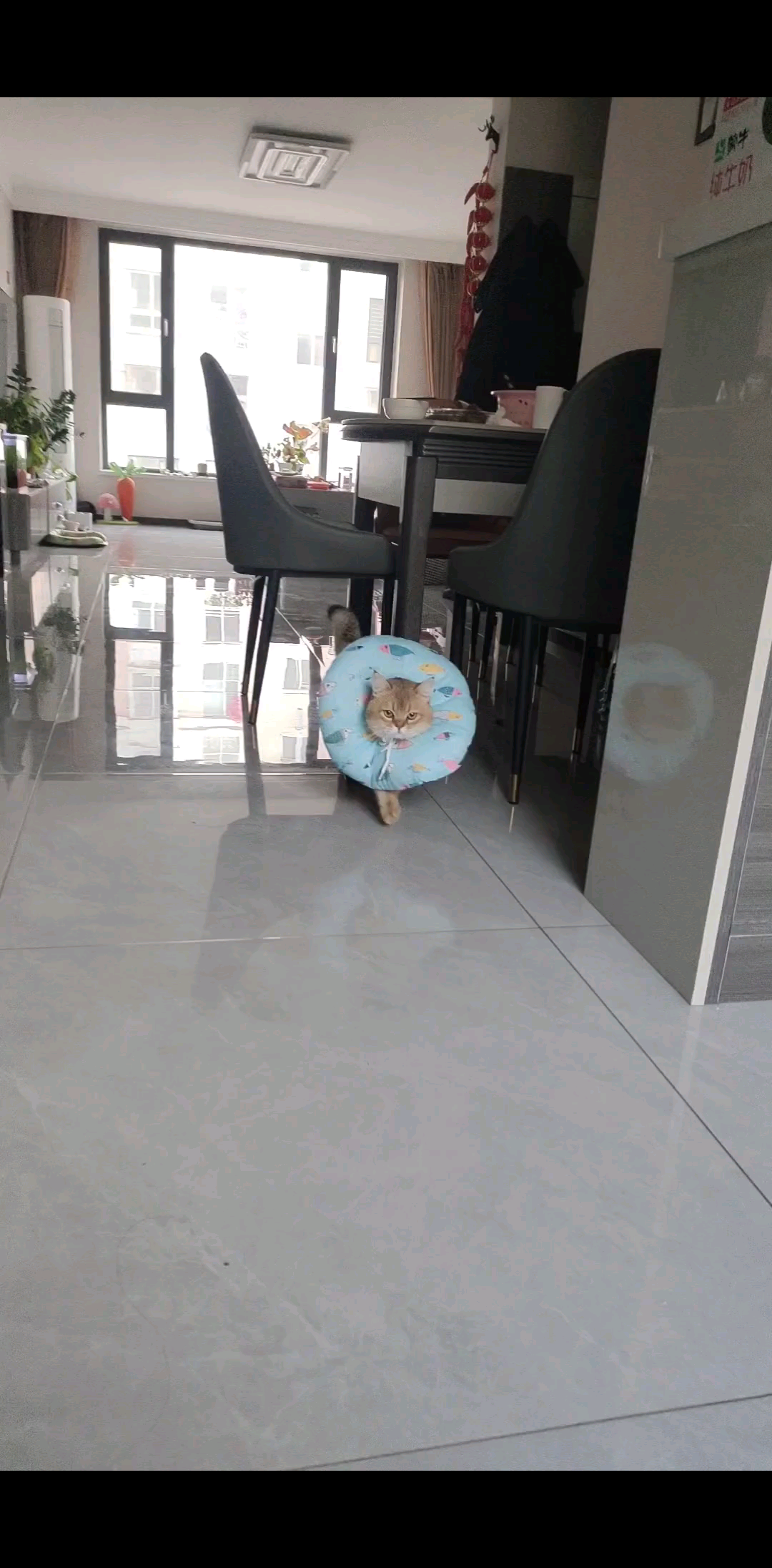 安静多休息两天 送上