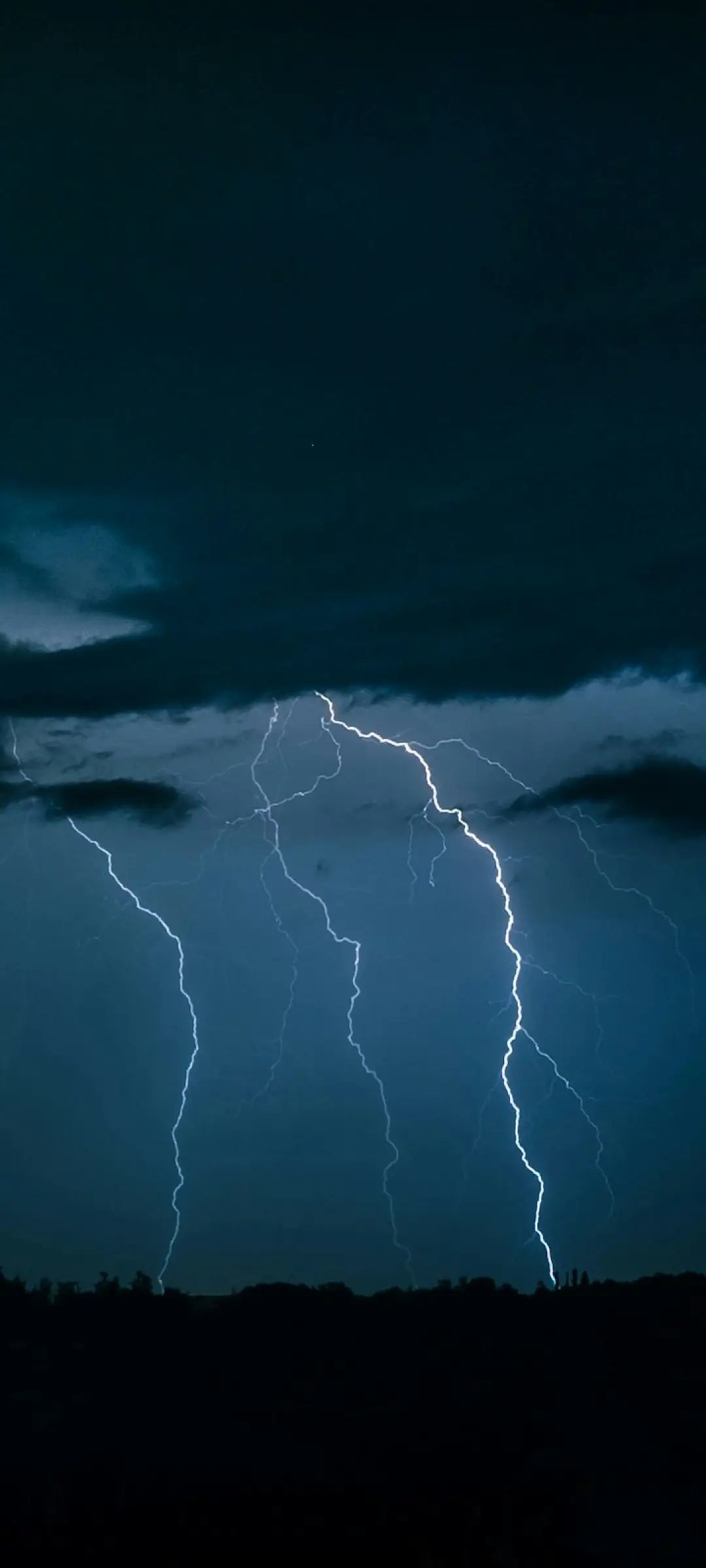 洪素雪主播图片