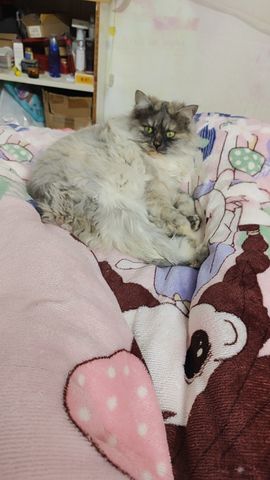 婷💕求过月底任务的图片