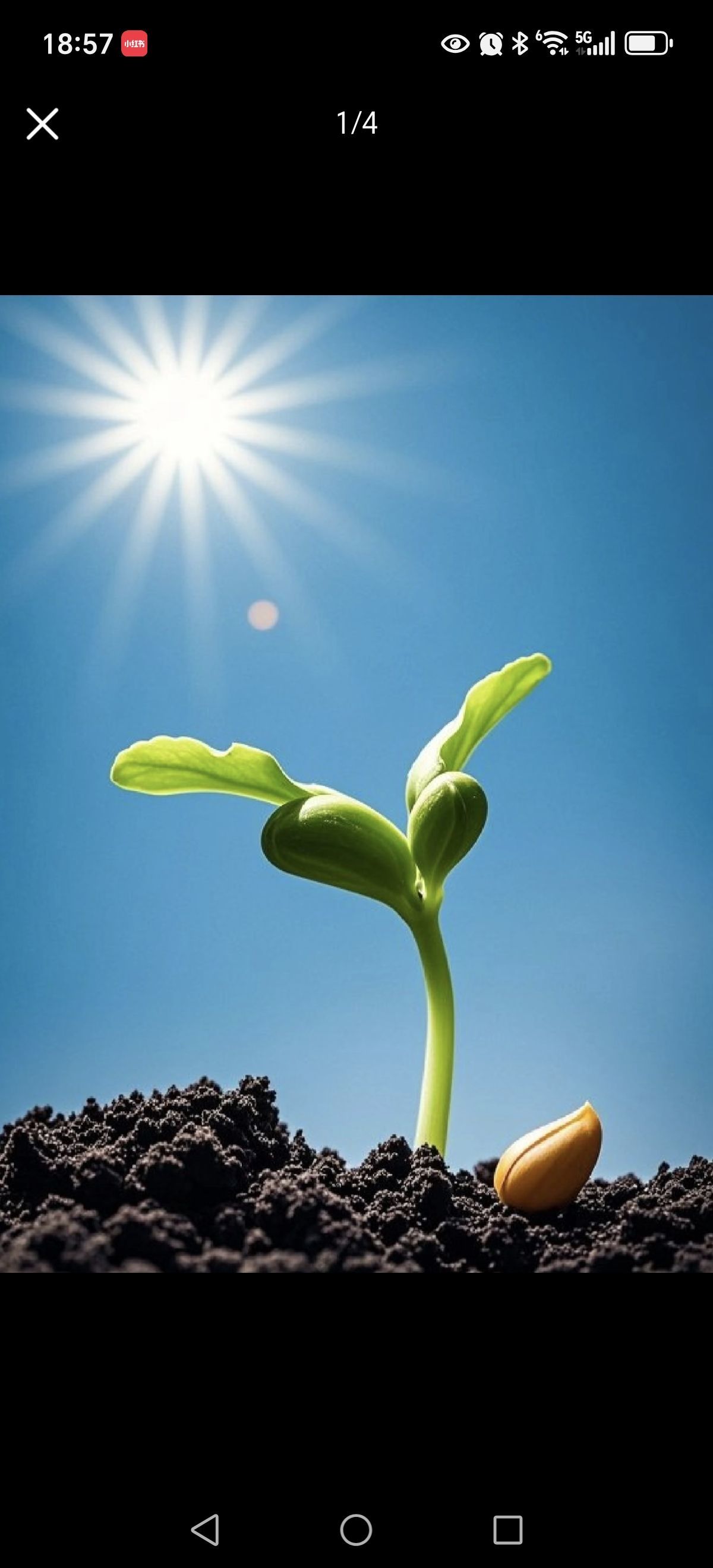 上官曦婉儿主播图片