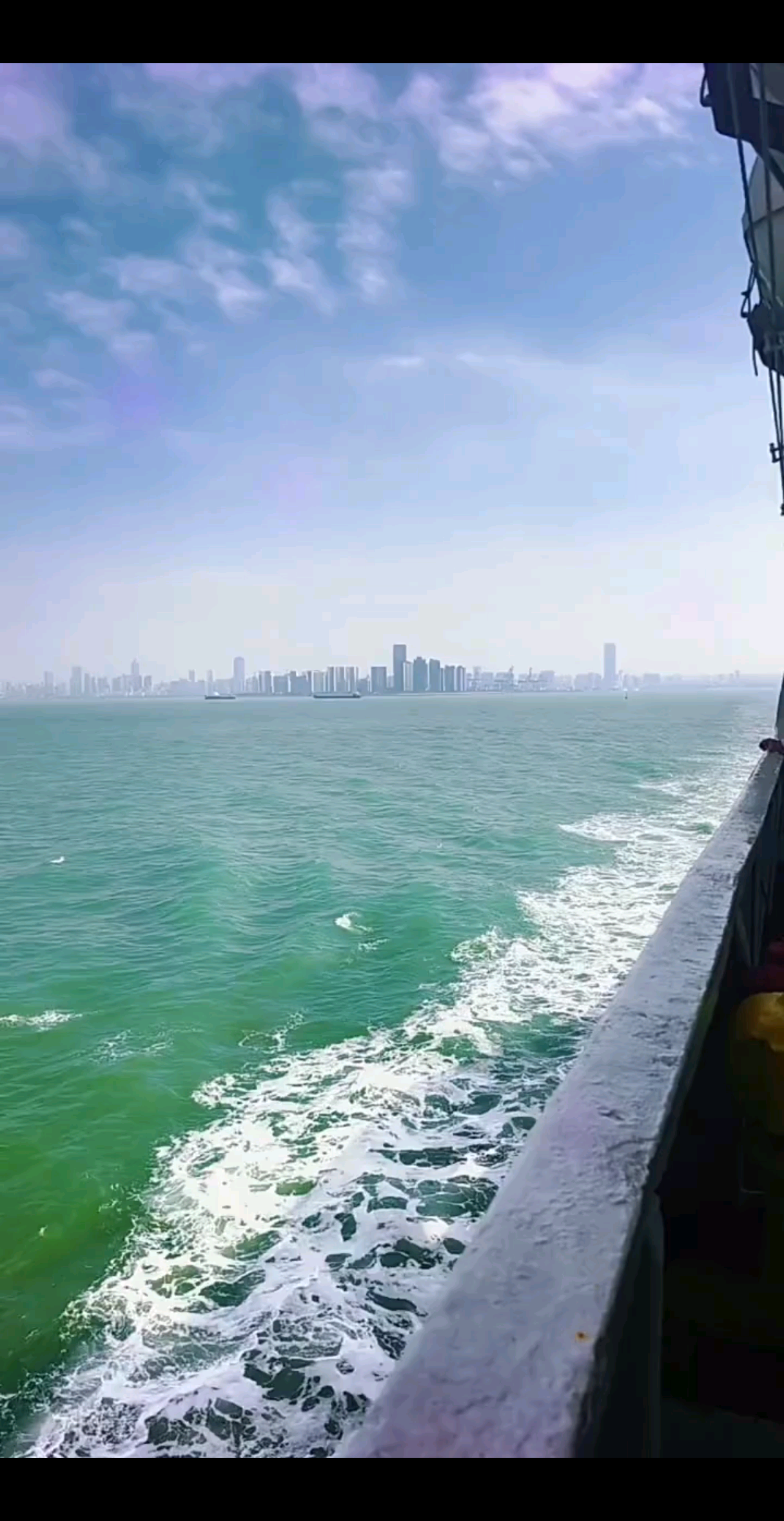 海南的大海很美，椰子