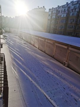 天王盖地虎虎044的图片