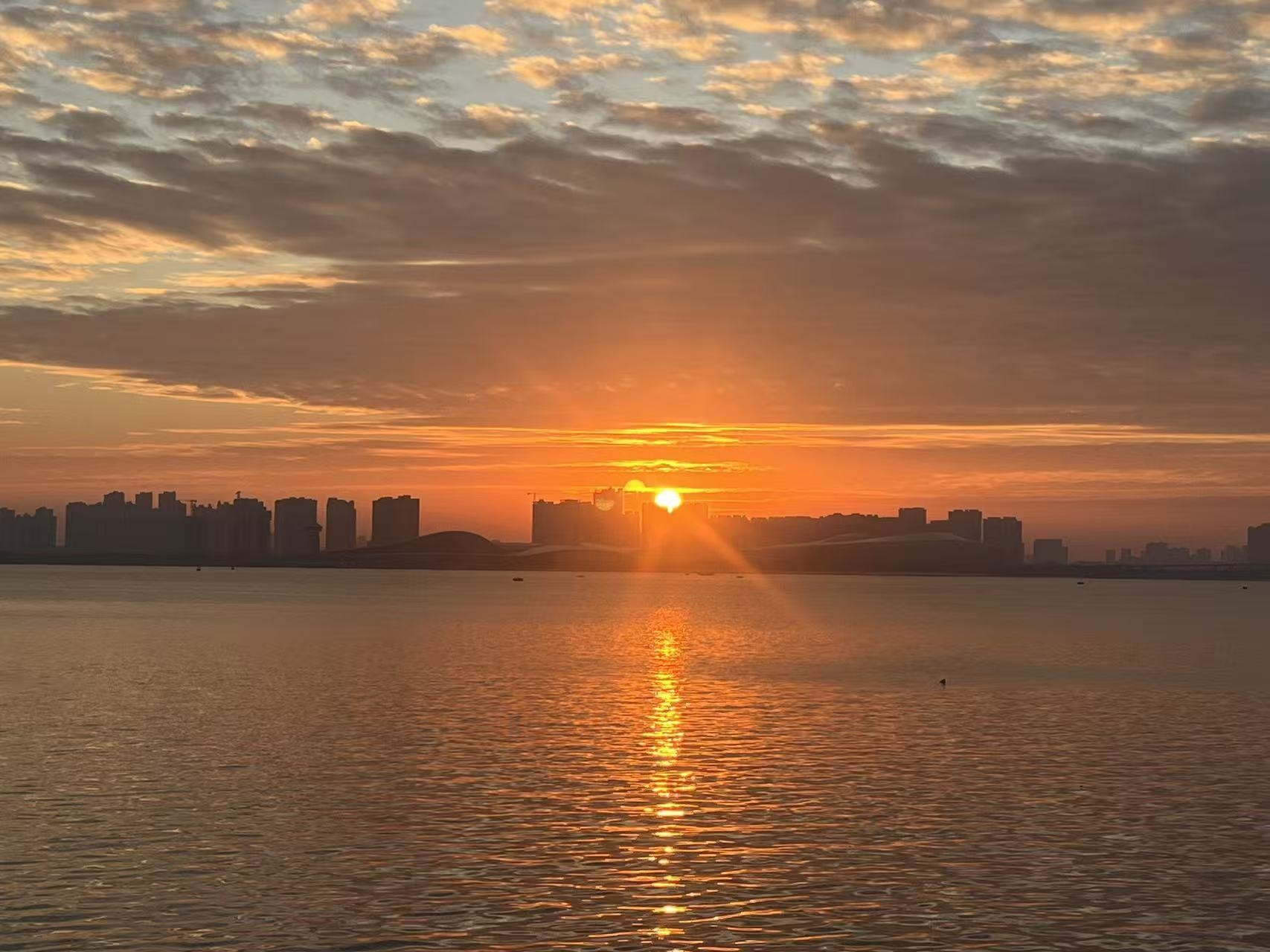 小朝阳•漂泊中主播图片