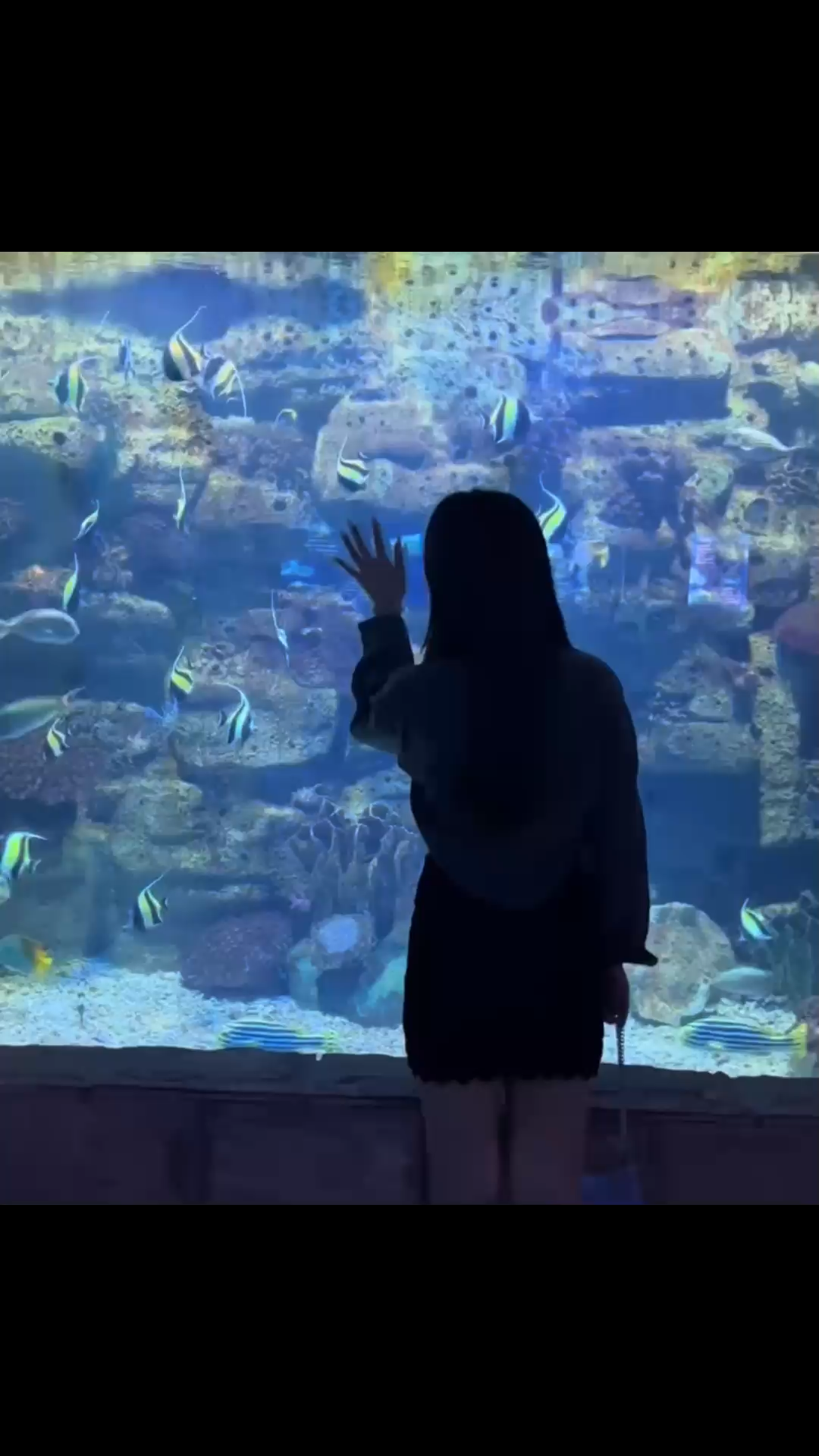 “海与天 温与柔 爱