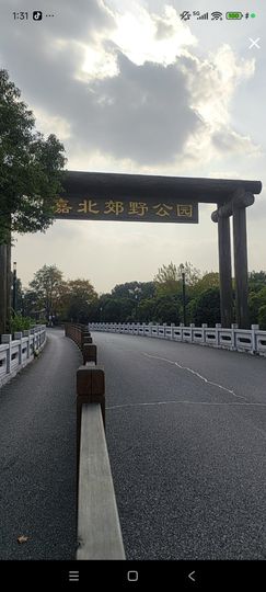 婷婷💕感恩有你陪伴的图片