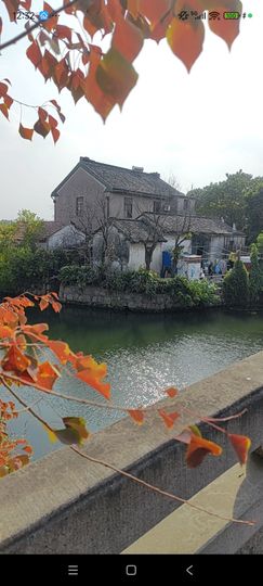 婷婷💕感恩有你陪伴的图片