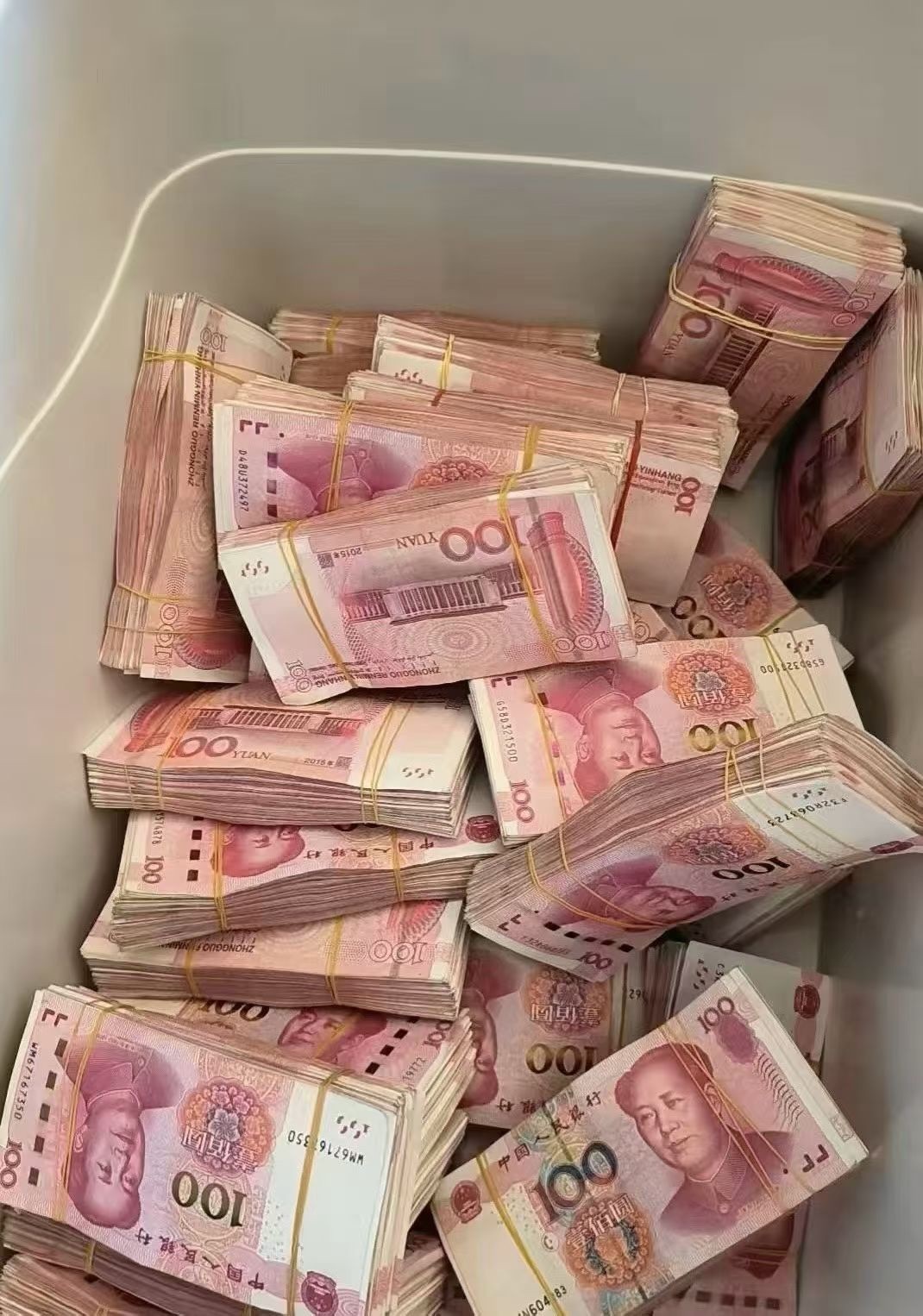 猫猫🌱JING.7主播图片