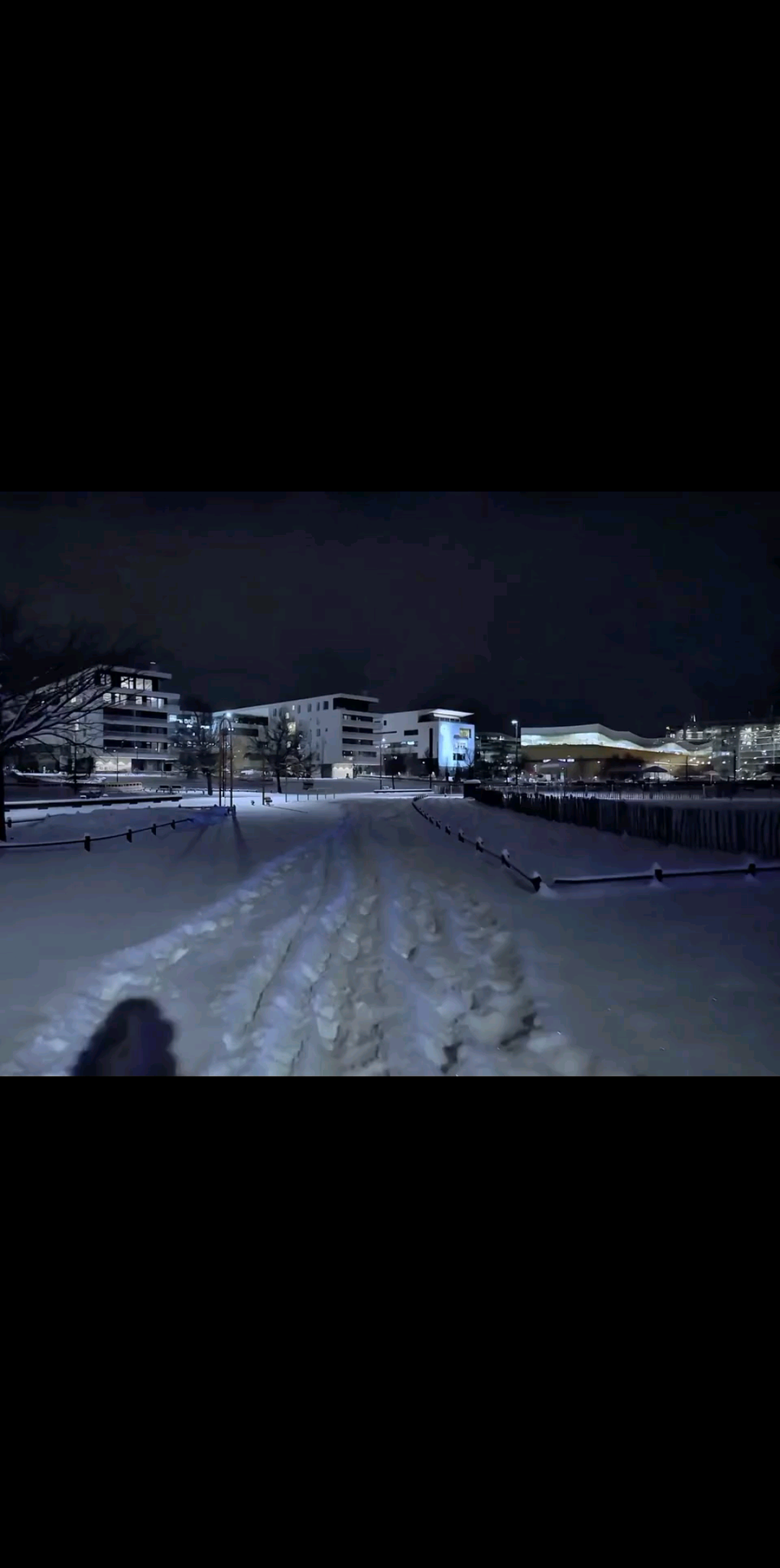 最美叶子，你快回来！