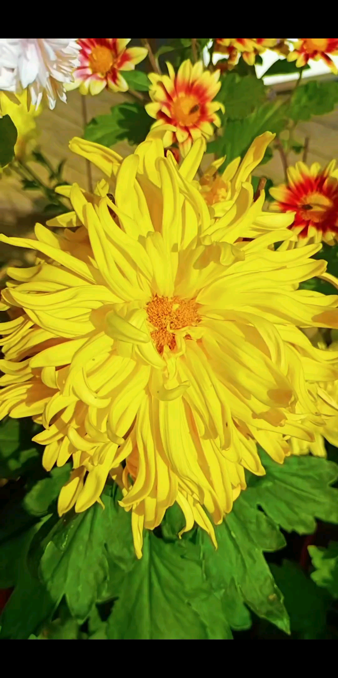 上一站户外风景已送达