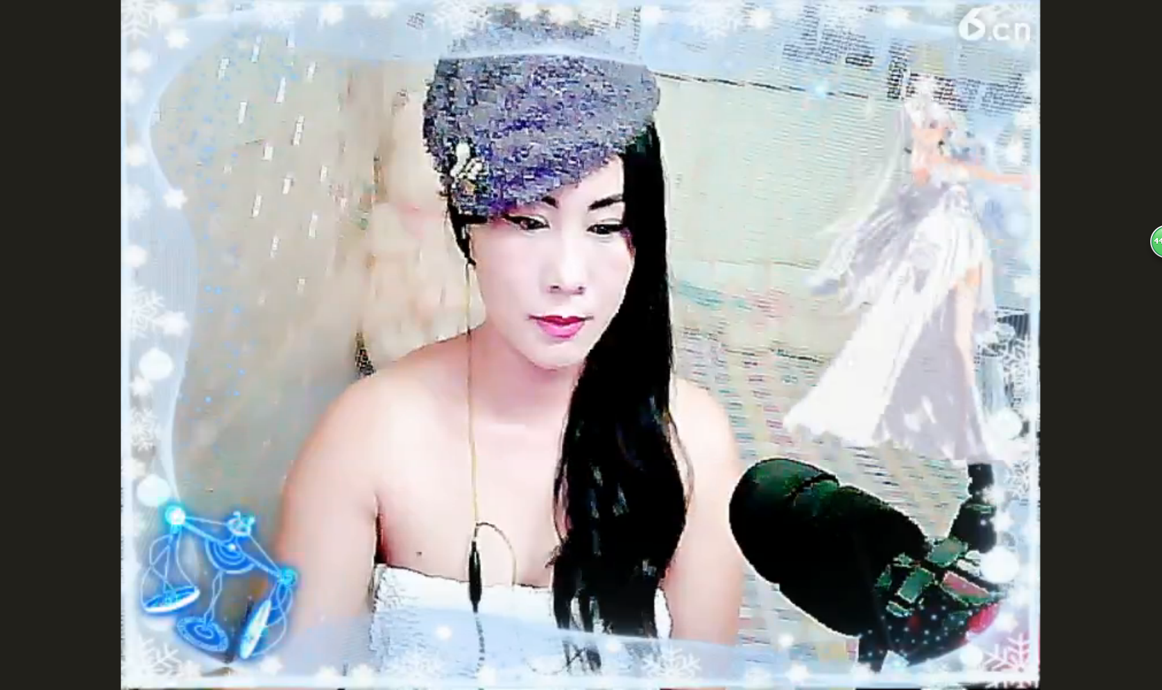 じ海鸥で的图片