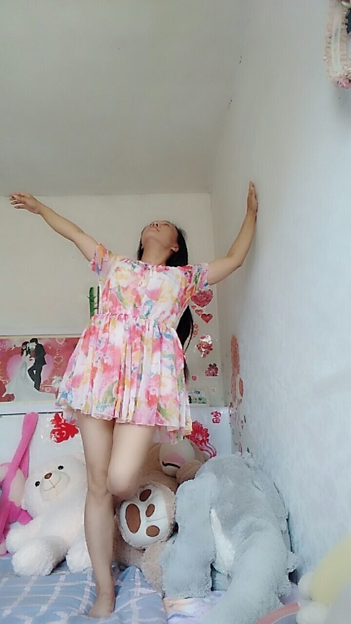 じ海鸥で的图片