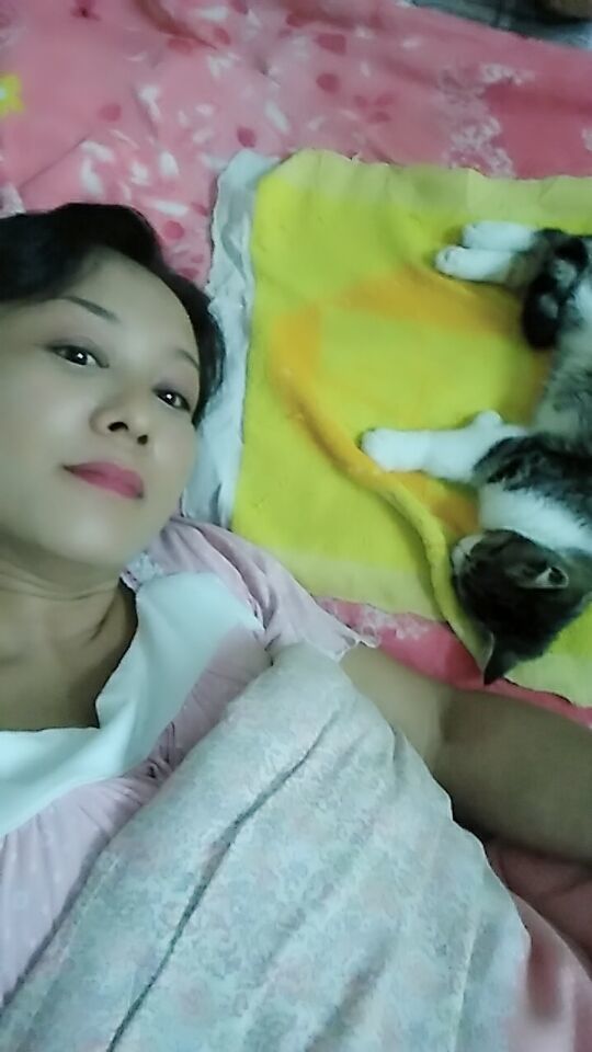 じ海鸥で的图片