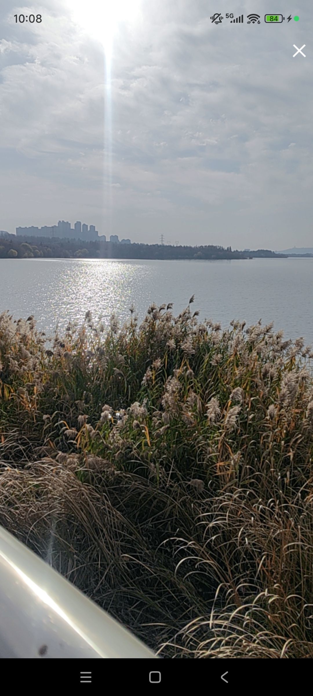 婷婷💕感恩有你陪伴主播图片