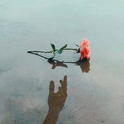 @如面如面如面的頭像