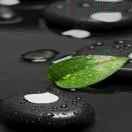 蔣志榮JTD的頭像