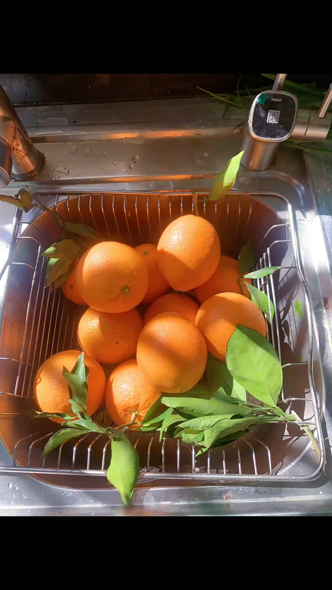 多吃橙子🍊，心想事成