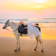 ♥╭侯爵团静龍♥╭的头像