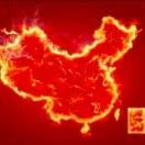 飞天红狐zWZ的头像