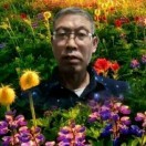 如意~和谐