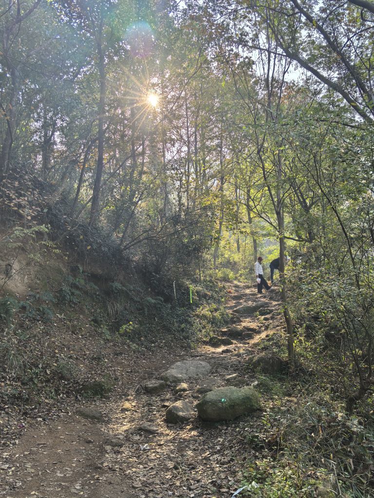 张张美人3号休的主播照片