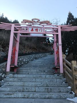 如风-王菲主播照片