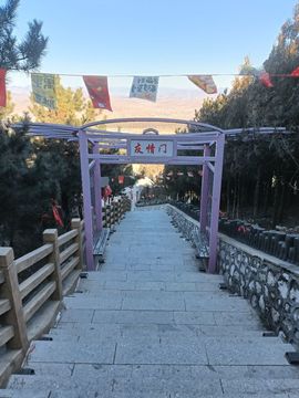 如风-王菲主播照片