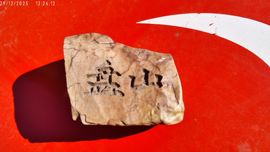 如风-王菲主播照片