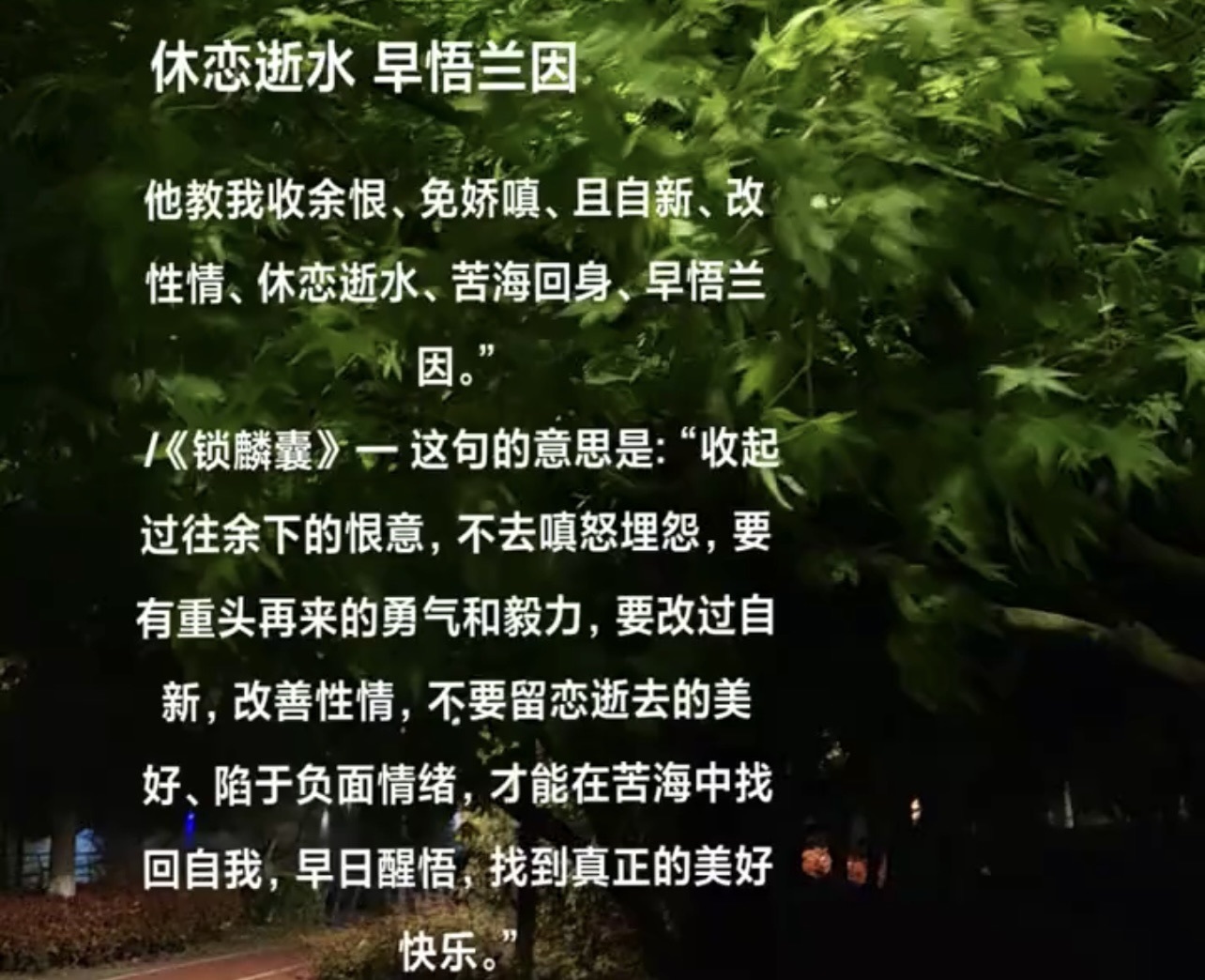 yoki♥主播图片