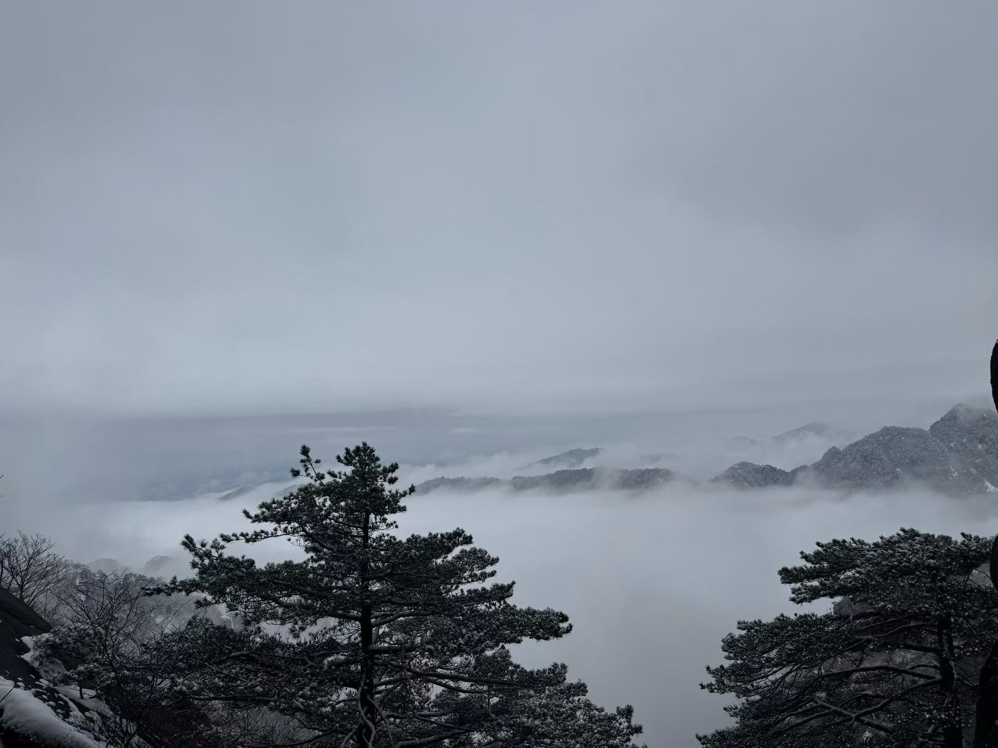 肉肉小娘子求升级主播图片