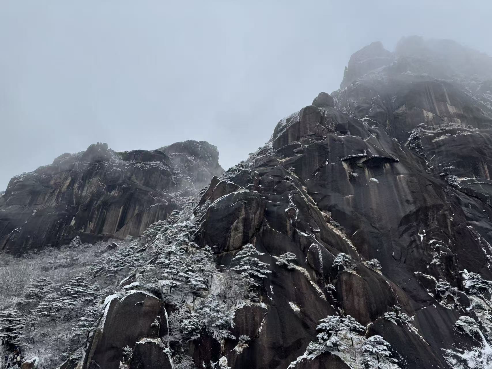 肉肉小娘子求升级主播图片