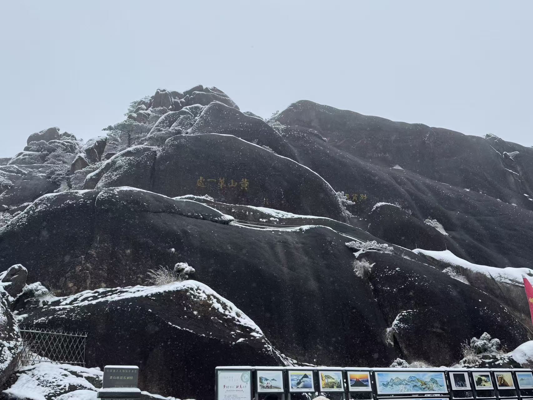 肉肉小娘子求升级主播图片