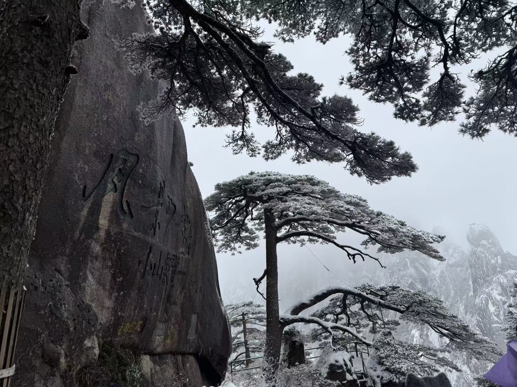 肉肉小娘子求升级主播图片