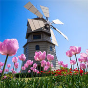 天启战神😜、的头像